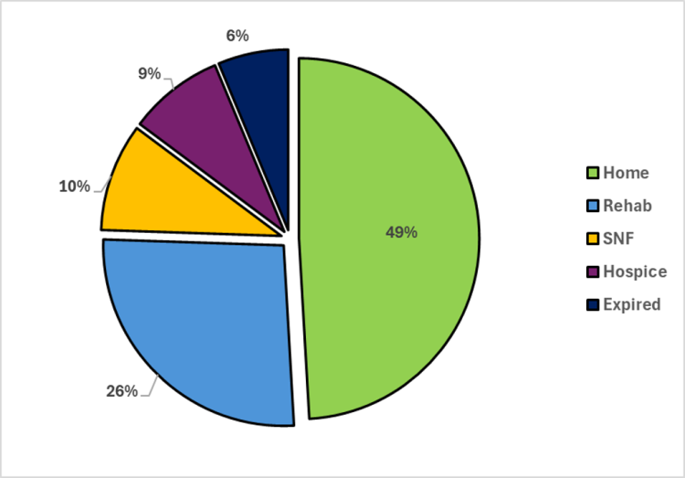 a pie chart illustrating that 49% of ischemic stroke patients discharge home