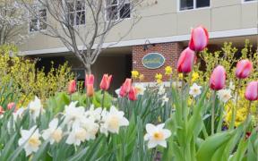 MHMCH 56 Baribeau Drive