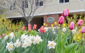 MHMCH 56 Baribeau Drive