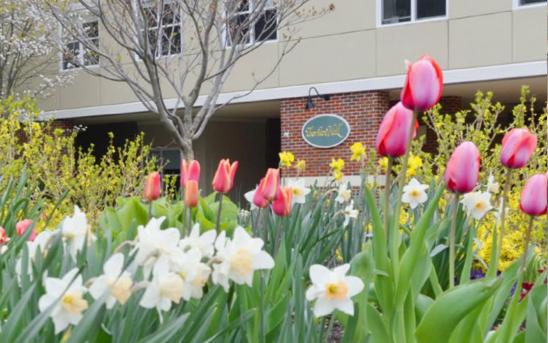 MHMCH 56 Baribeau Drive