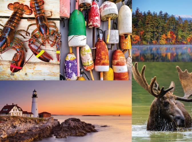 A collage of Maine lifestyle images featuring lobsters, buoys, a lighthouse and a moose