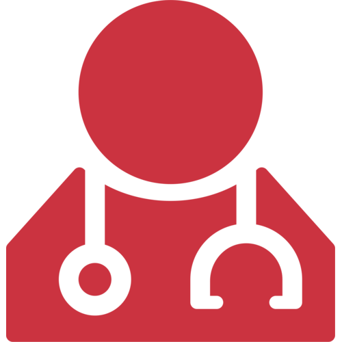 Icon of a healthcare provider