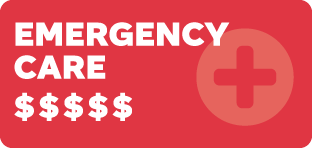 Emergency Care, highest cost