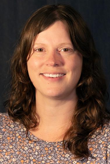 Lisa M Stout